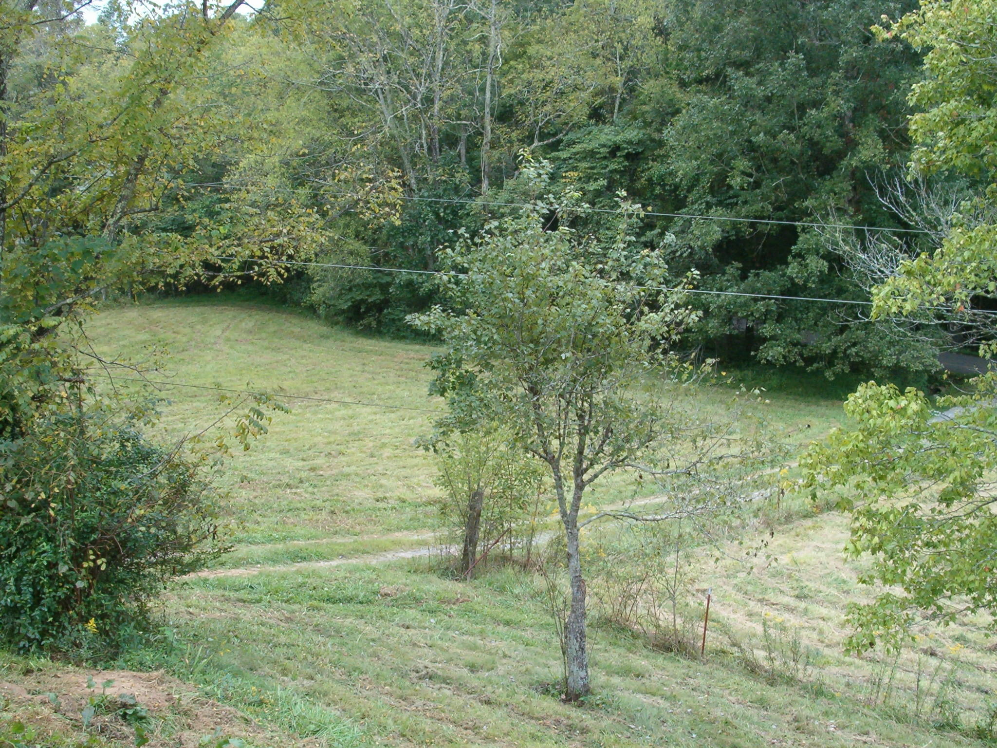 911 Dogtown Road Ten Mile, TN 37880 - Photo 11 of 11 013