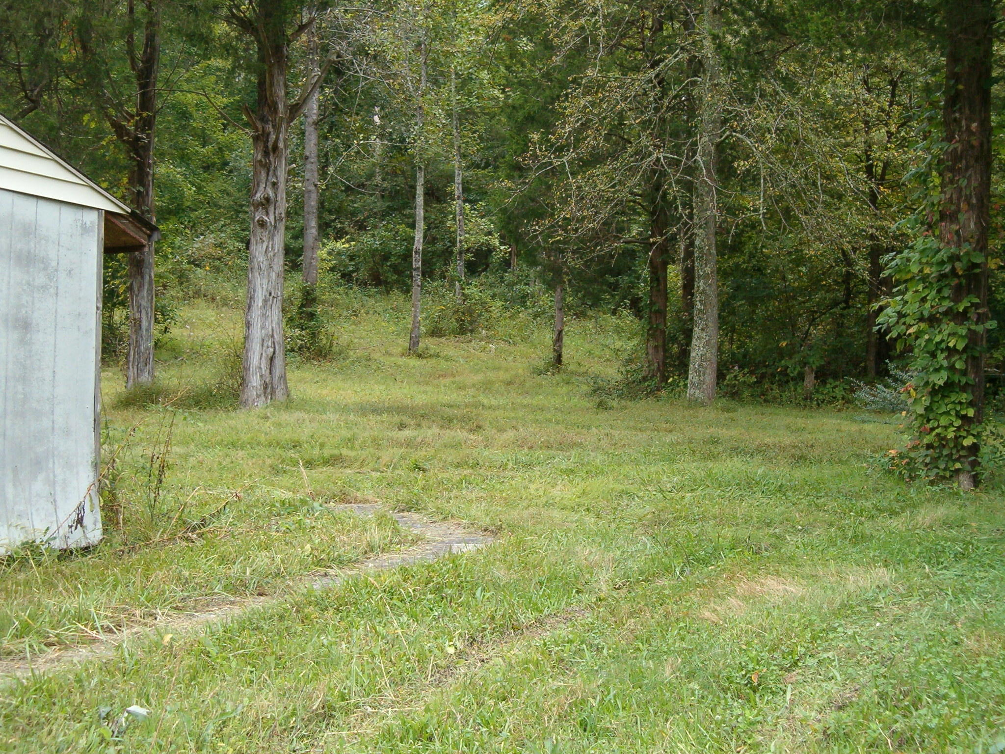 911 Dogtown Road Ten Mile, TN 37880 - Photo 7 of 11 007