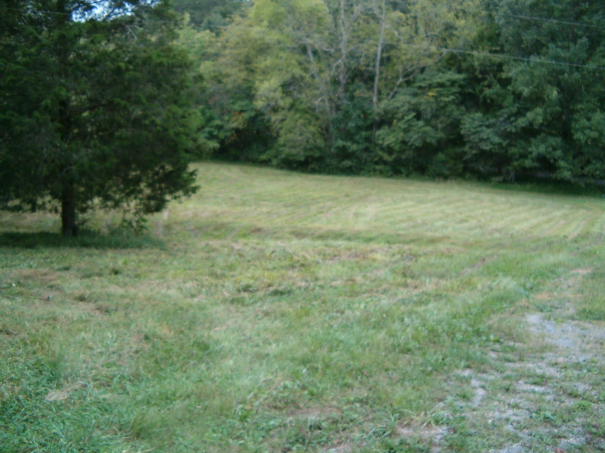911 Dogtown Road Ten Mile, TN 37880 - Photo 8 of 11 009