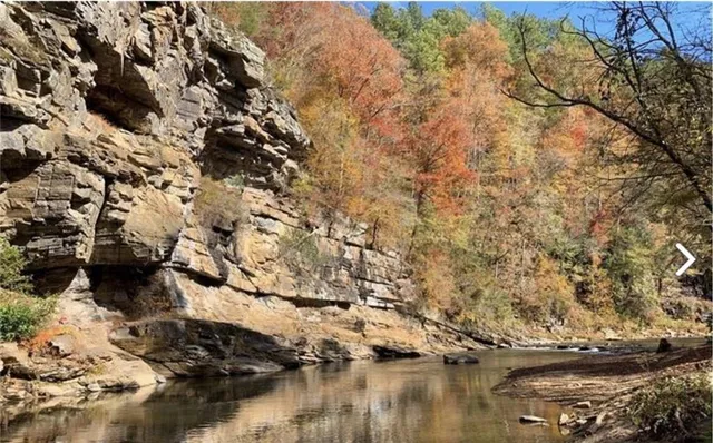 a view of outdoor space with trees