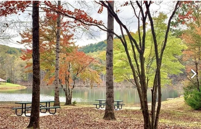 $8,500 | 933 Apex Court, Ranger, GA 30734