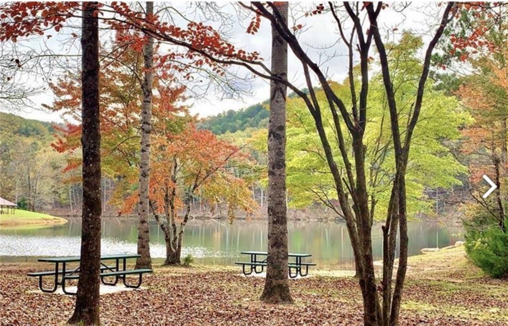 933 Apex Court Ranger, GA 30734 - Photo 13 of 13