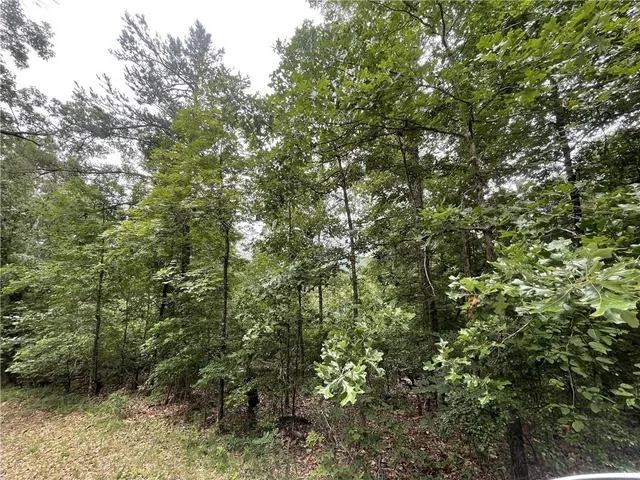 a view of a large yard with lots of trees