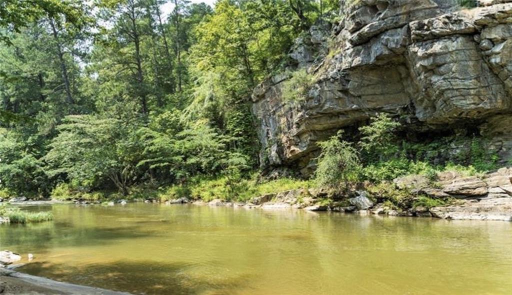 933 Apex Court Ranger, GA 30734 - Photo 8 of 13 a view of an ocean with a tree
