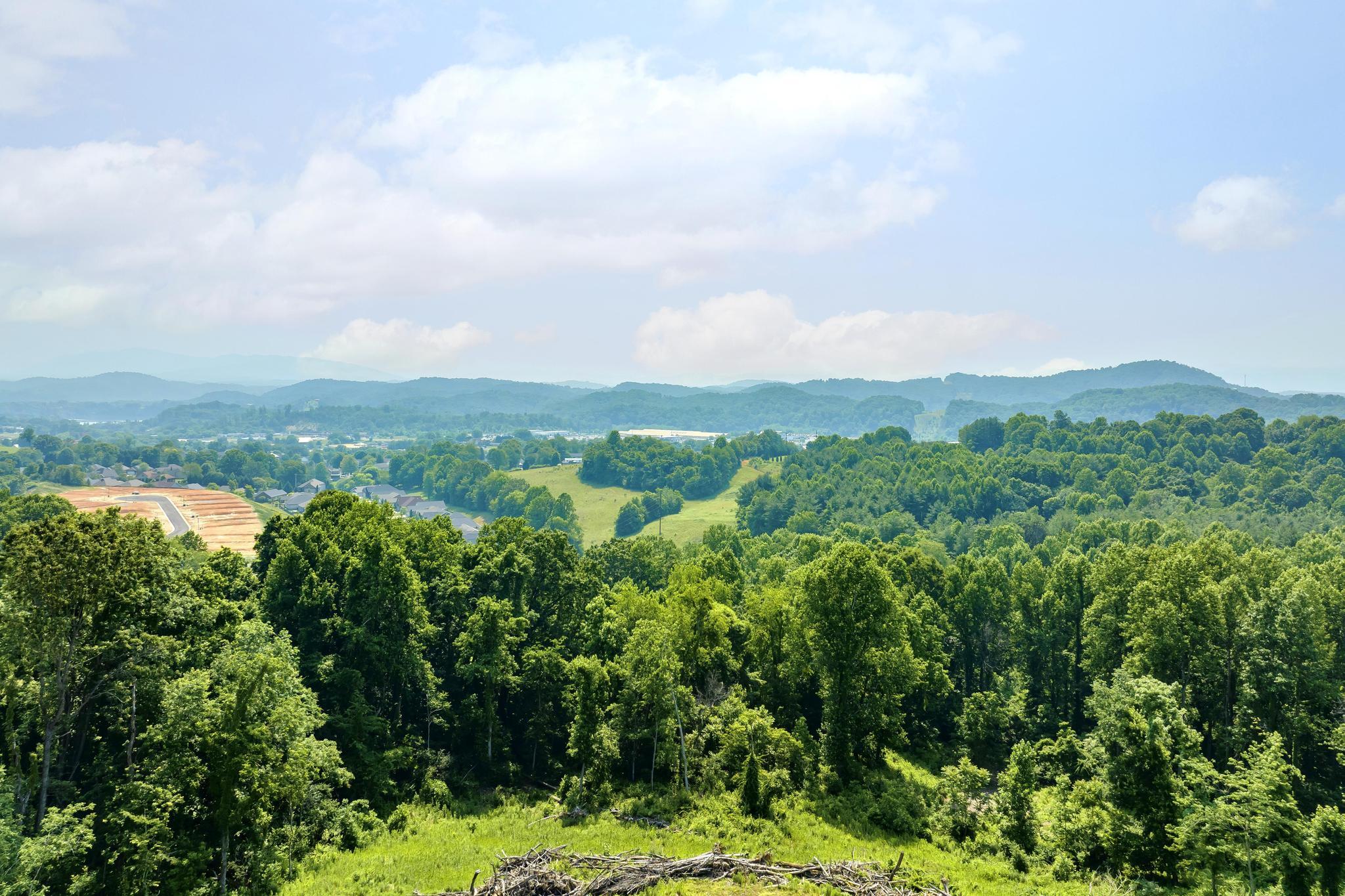 4010 Timberlake Road Johnson City, TN 37601 - Photo 28 of 48 4010Timberlake
