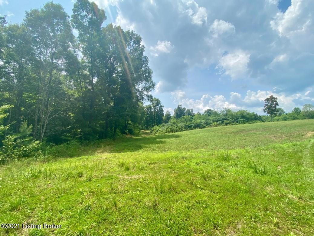 1270 Duvall Road Caneyville, KY 42721 - Photo 45 of 61 1270 Duvall Rd35