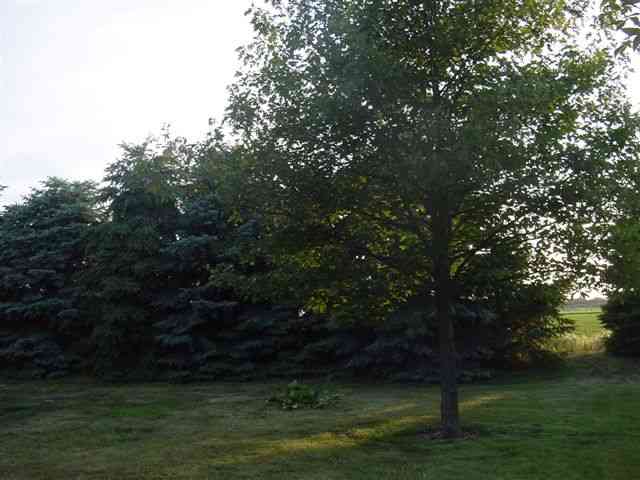 13211 Walnut Street Manito, IL 61546 - Photo 7 of 9 Gallery Image 7