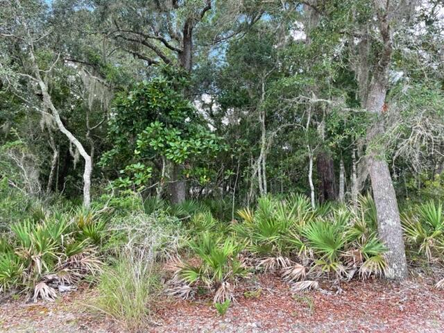 0 Smith Lane Santa Rosa Beach, FL 32459 - Photo 4 of 4 Smith Dr View From Bay