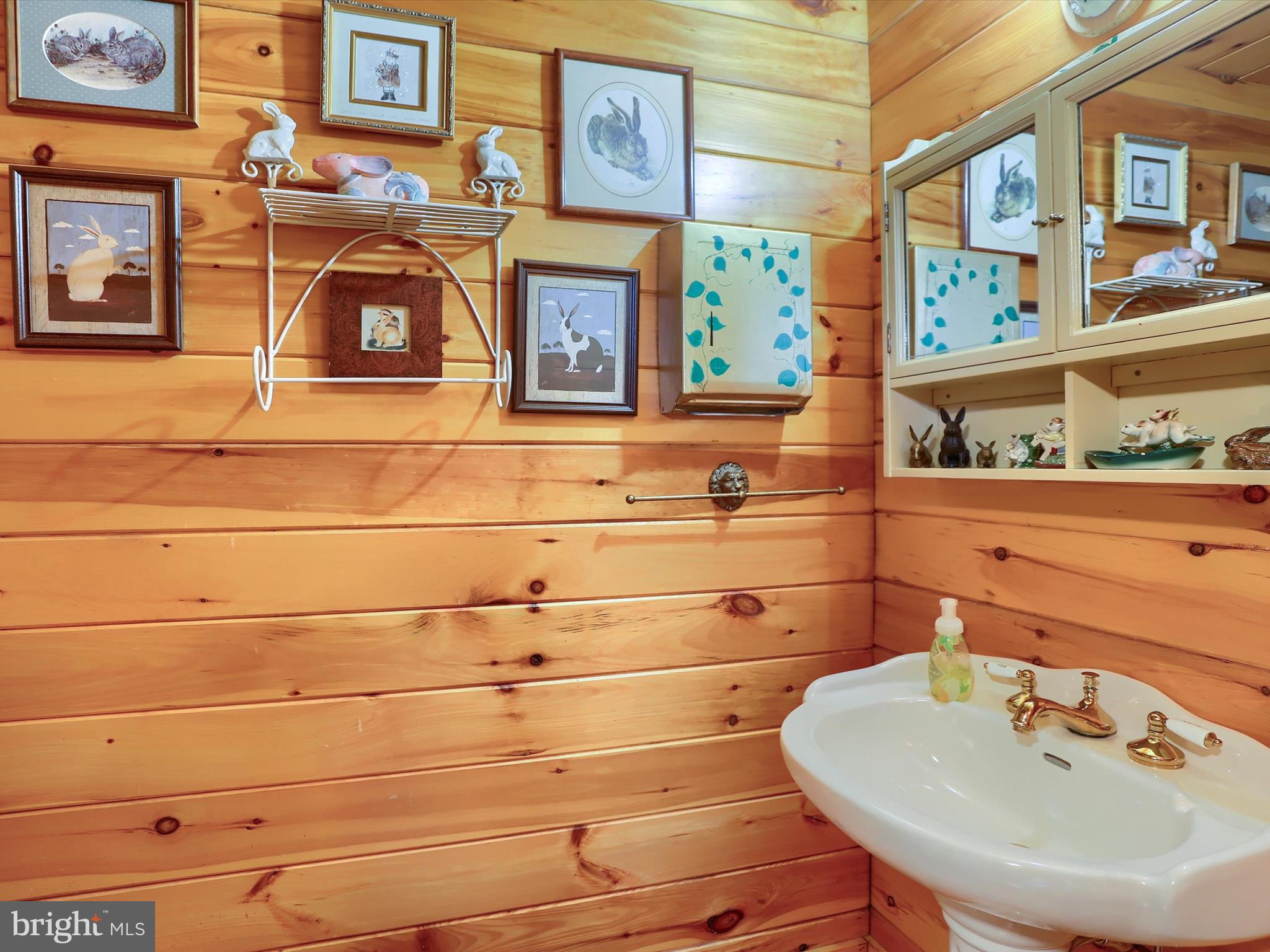 389 Church Road Shermans Dale, PA 17090 - Photo 54 of 88 a bathroom with a sink and a mirror