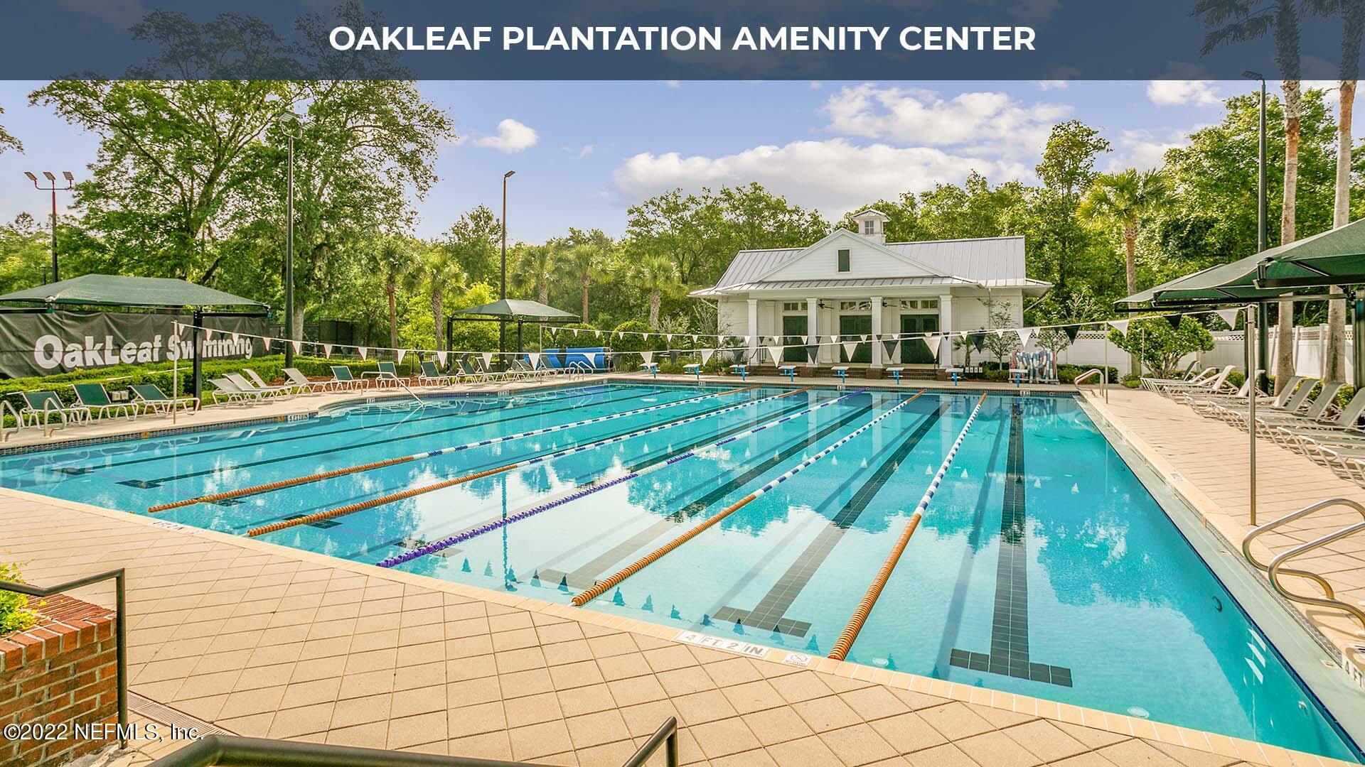 4056 Oak Mill Road Orange Park, FL 32065 - Photo 12 of 24 a view of swimming pool with a yard and plants