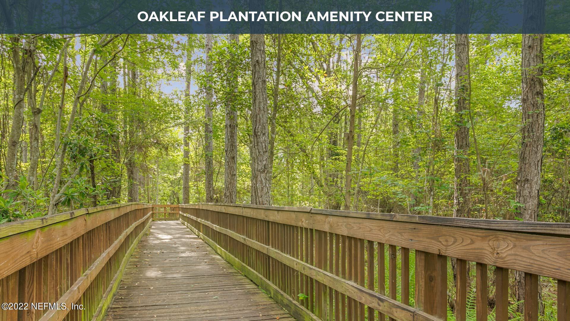 4056 Oak Mill Road Orange Park, FL 32065 - Photo 15 of 24 a view of lot of trees from a balcony