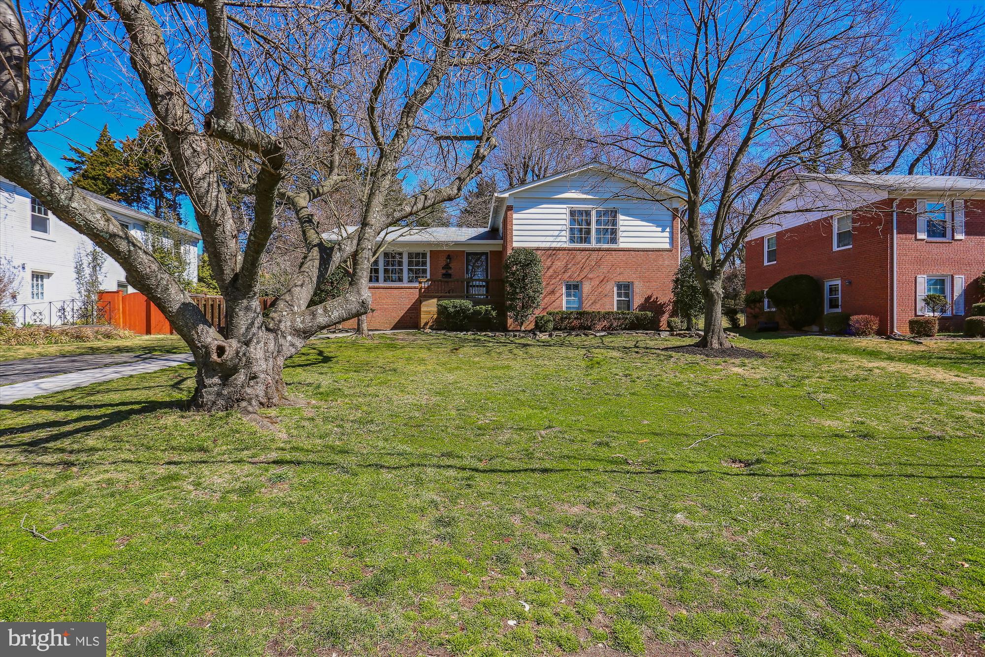 10807 Meadowhill Road Silver Spring, MD 20901 - Photo 3 of 42 Front Yard