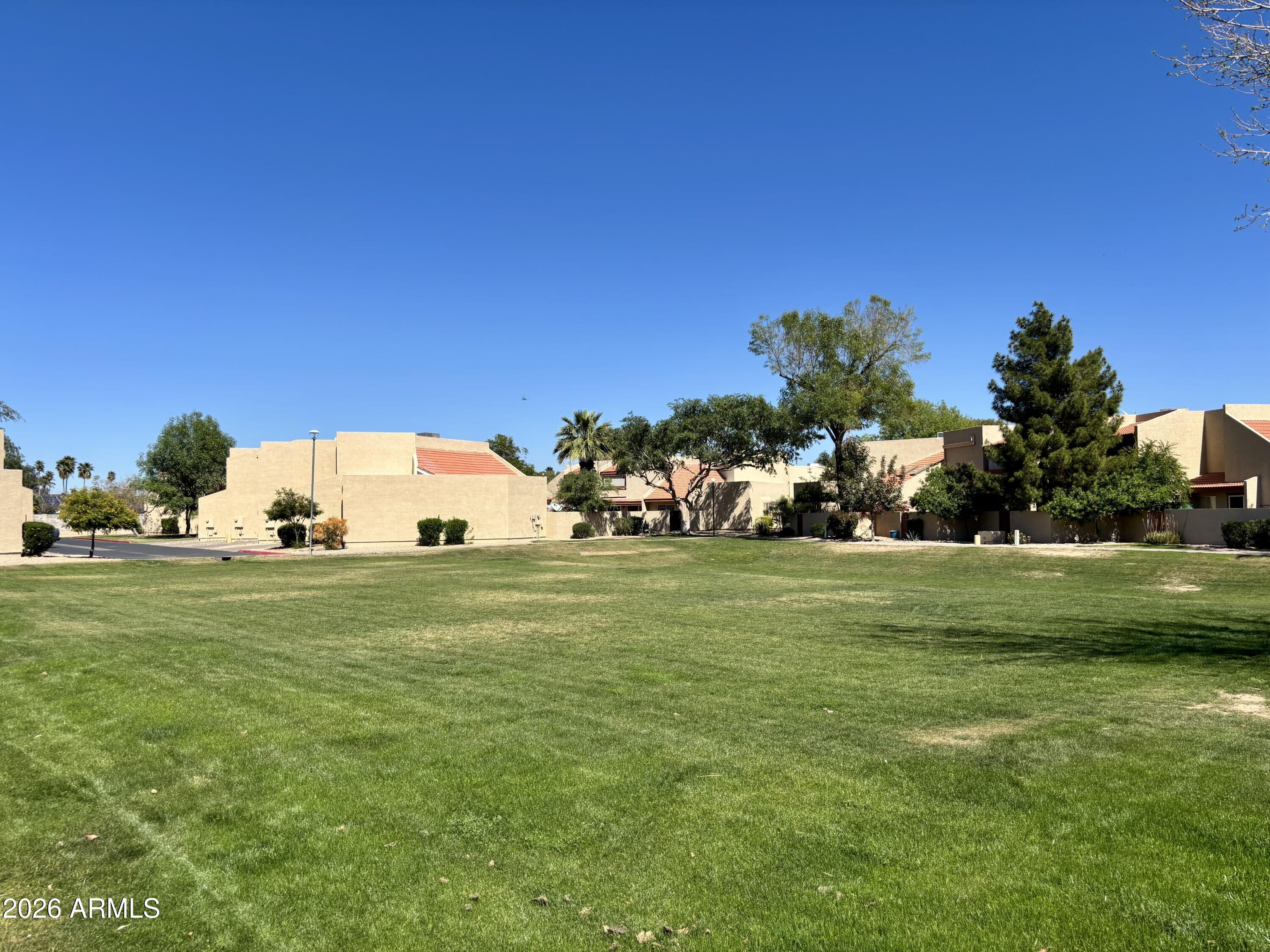 4213 West Calavar Road Phoenix, AZ 85053 - Photo 24 of 26 Complex Grass Area