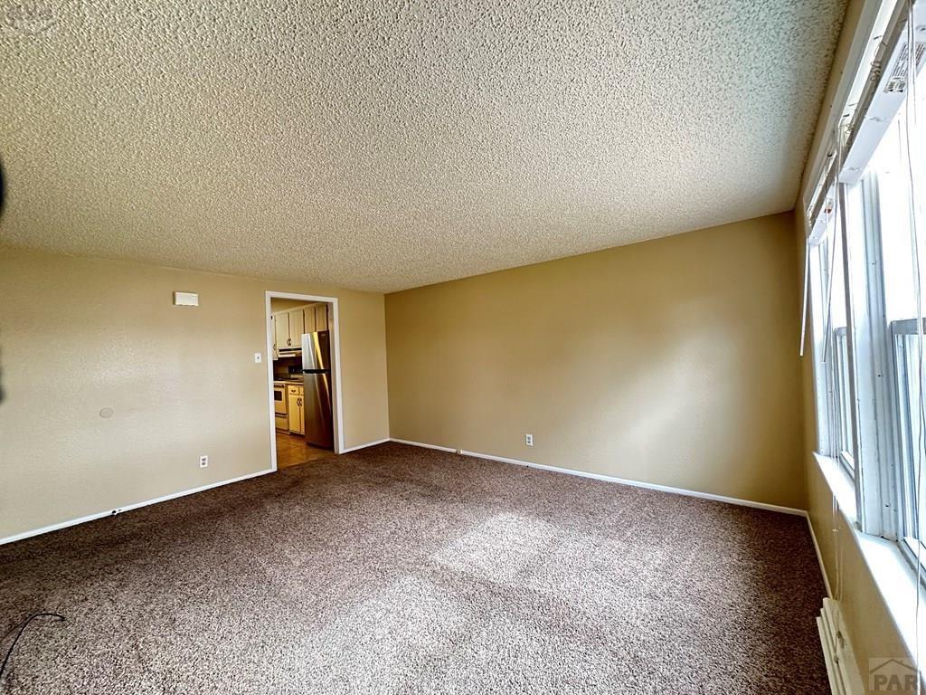 1009 Constitution Road Pueblo, CO 81001 - Photo 8 of 11 an empty room with windows