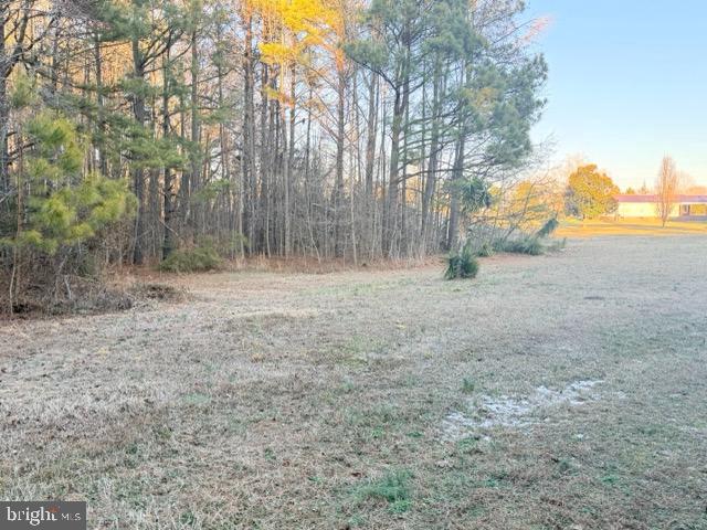 993 Marengo Road La Crosse, VA 23950 - Photo 38 of 42