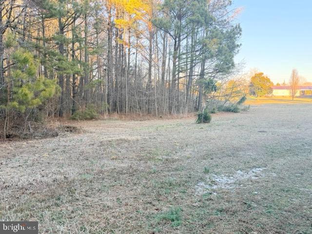 993 Marengo Road La Crosse, VA 23950 - Photo 5 of 42