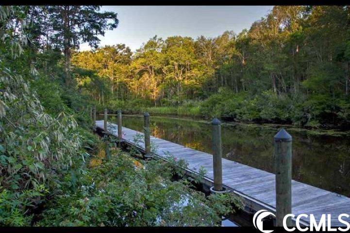 8 Plumbfield Court Murrells Inlet, SC 29576 - Photo 12 of 13