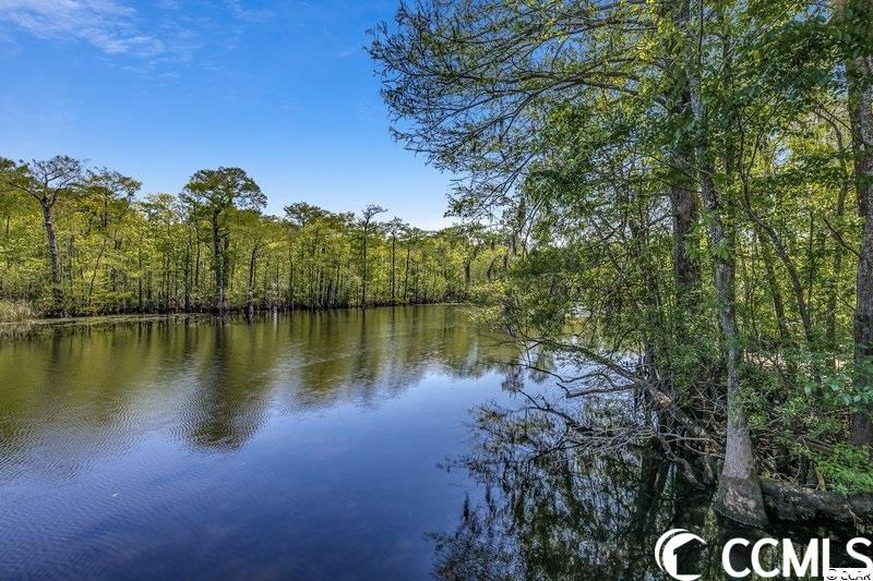 8 Plumbfield Court Murrells Inlet, SC 29576 - Photo 13 of 13
