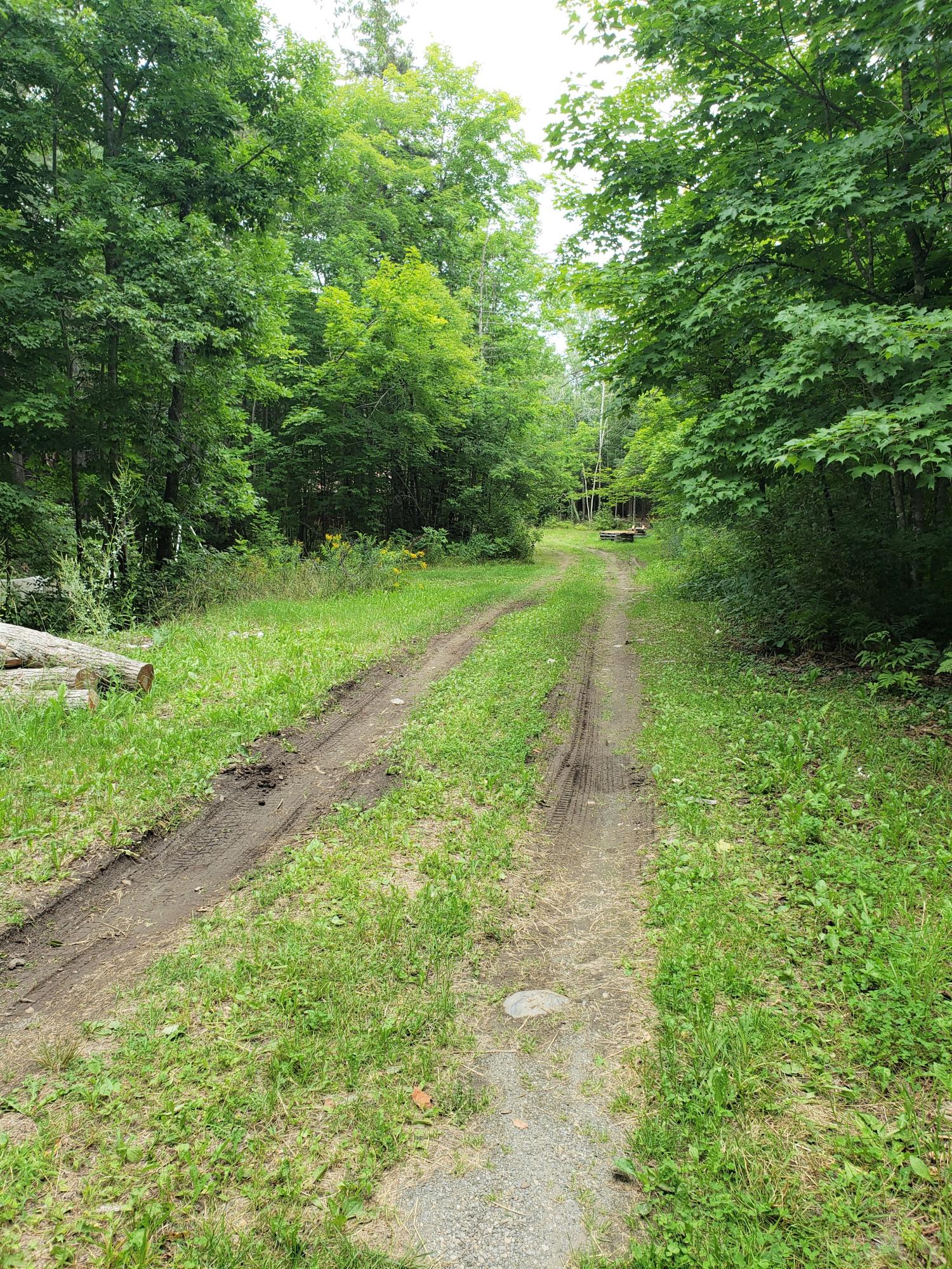 119 Silvers Mills Road Dexter, ME 04930 - Photo 3 of 17 4