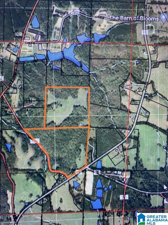 14791 County Road 10, Unit 45 ACRES Ranburne, AL 36273 - Photo 26 of 43