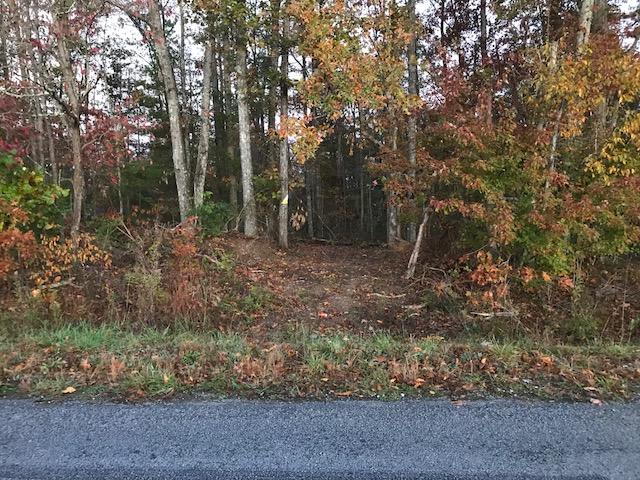 Creston Road Road Crossville, TN 38571 - Photo 1 of 3 IMG_2515