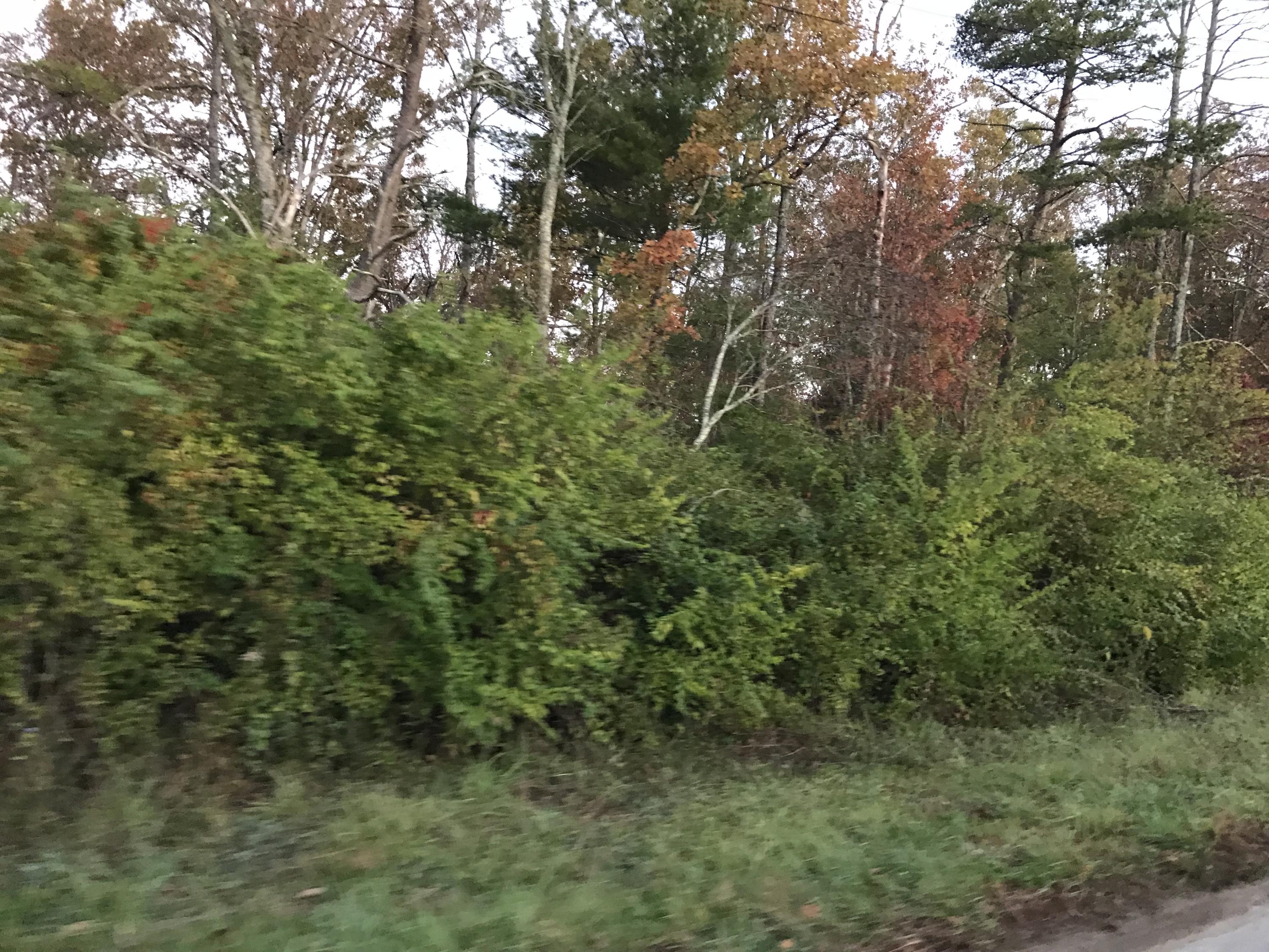 Creston Road Road Crossville, TN 38571 - Photo 2 of 3 IMG_2510