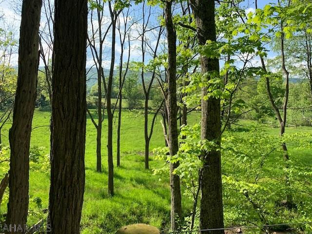 4129 Milligans Cove Road Manns Choice, PA 15550 - Photo 22 of 42 Gallery Image 22