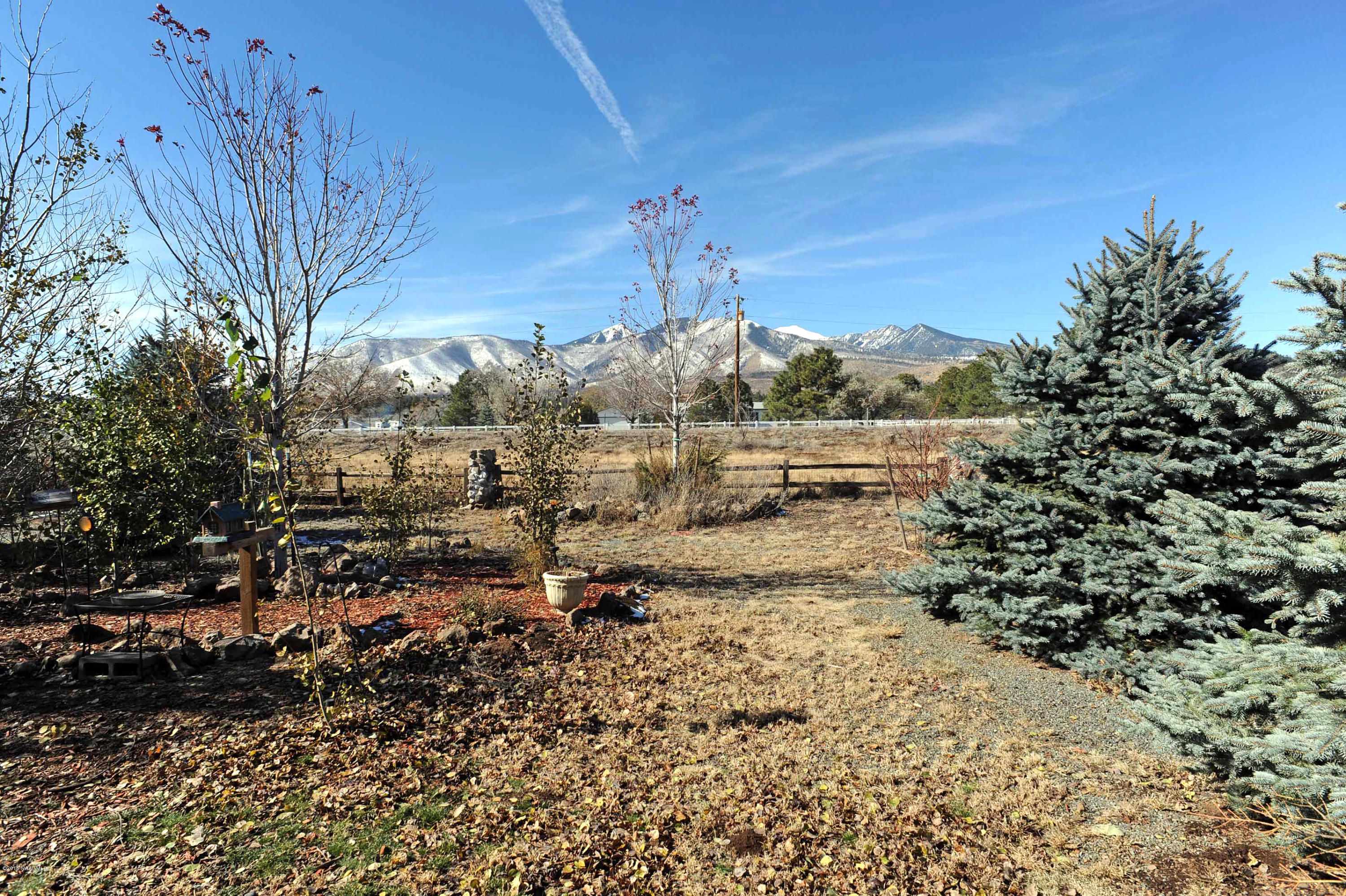 View from Back Yard