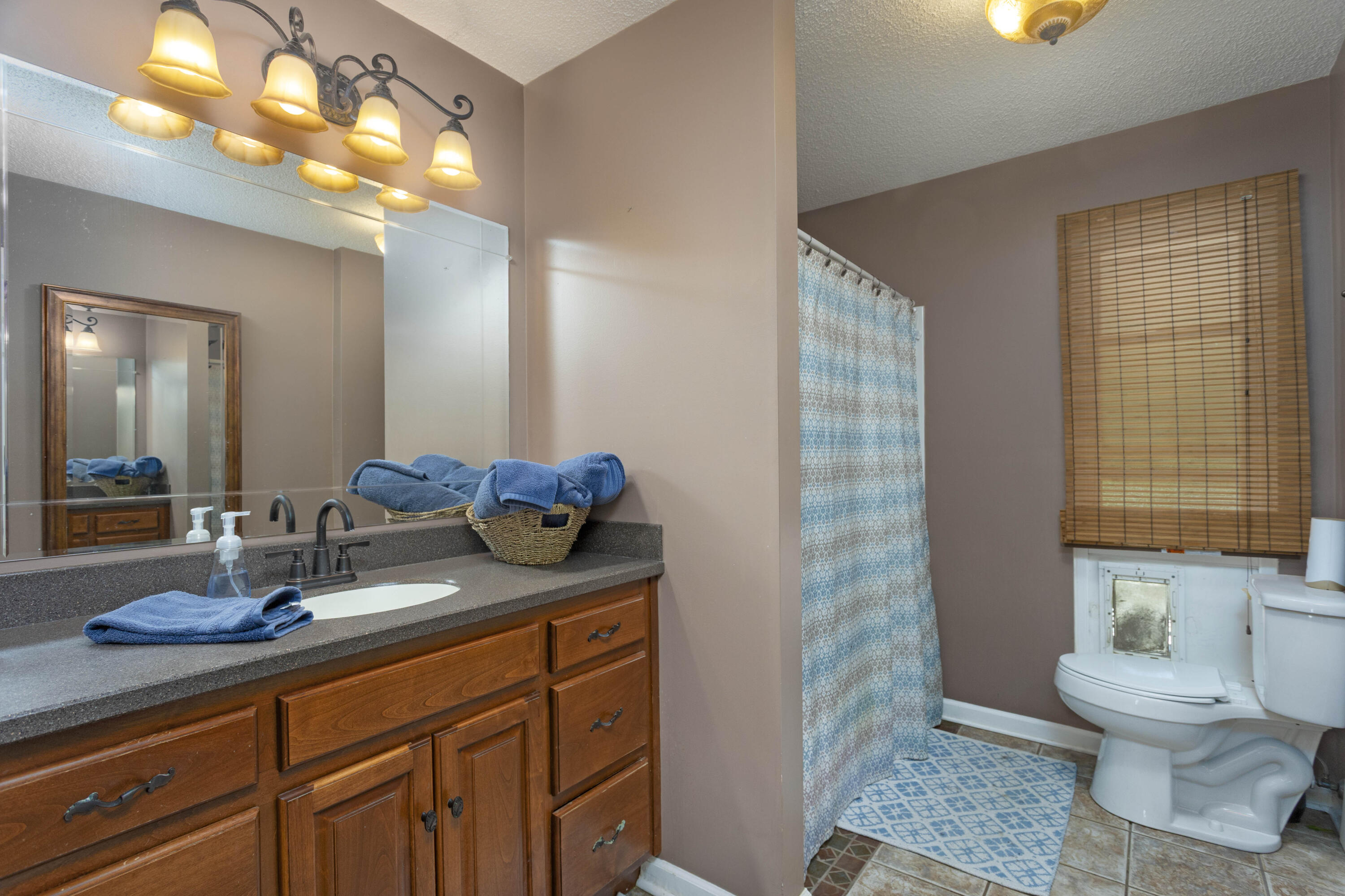217 Roberts Road Spring City, TN 37381 - Photo 21 of 52 21