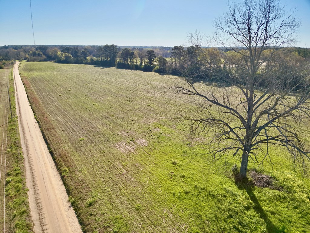 10.73-acres Huskey Road Dothan, AL 36303 - Photo 8 of 13