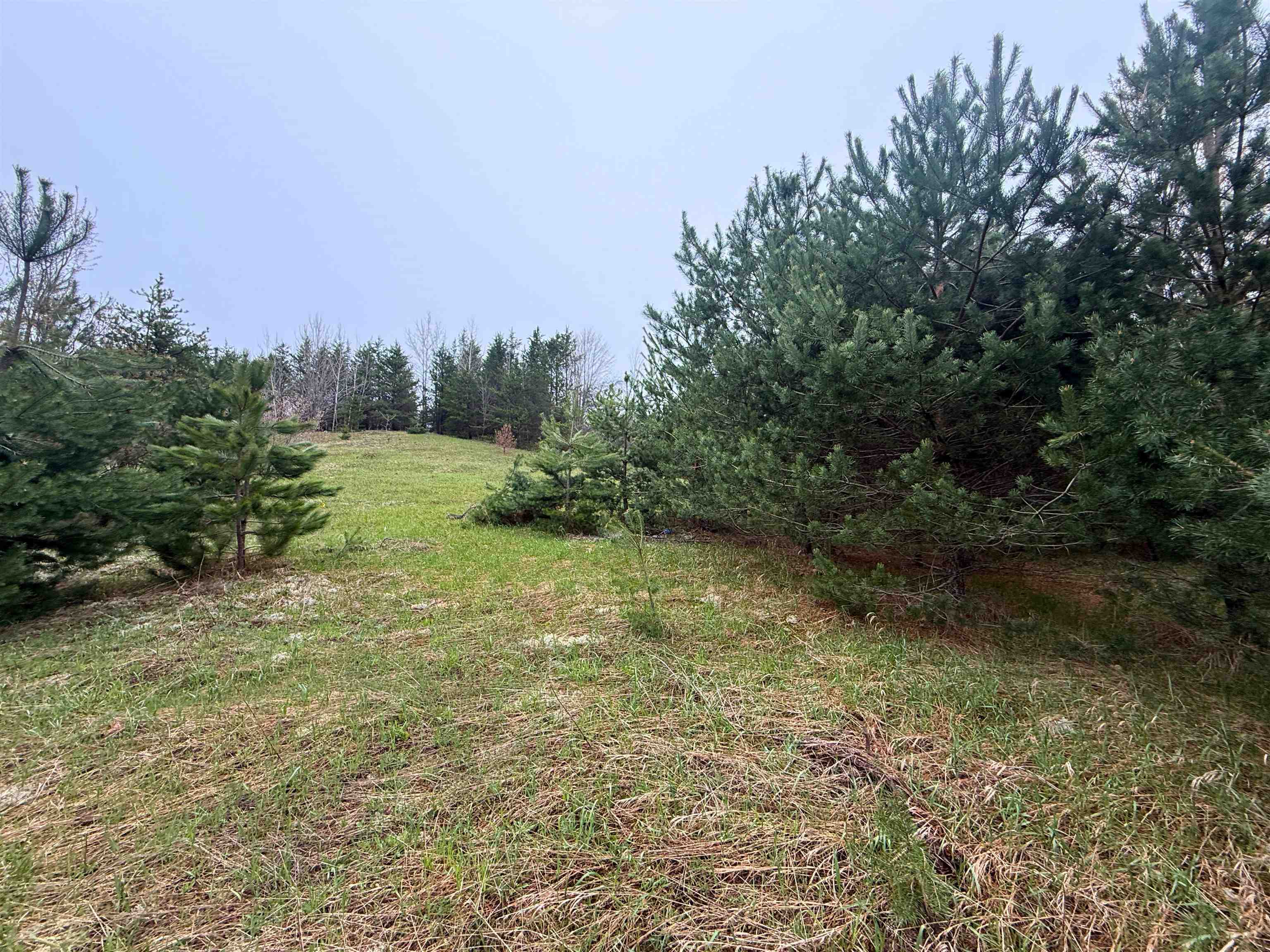 0 West County Line Road, Unit LOT: C Thompsonville, MI 49683 - Photo 15 of 21