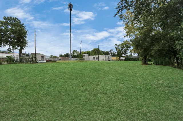 a view of a park with a big yard and palm trees