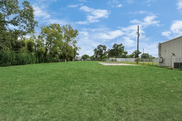 a view of a field with grass and a palm tree