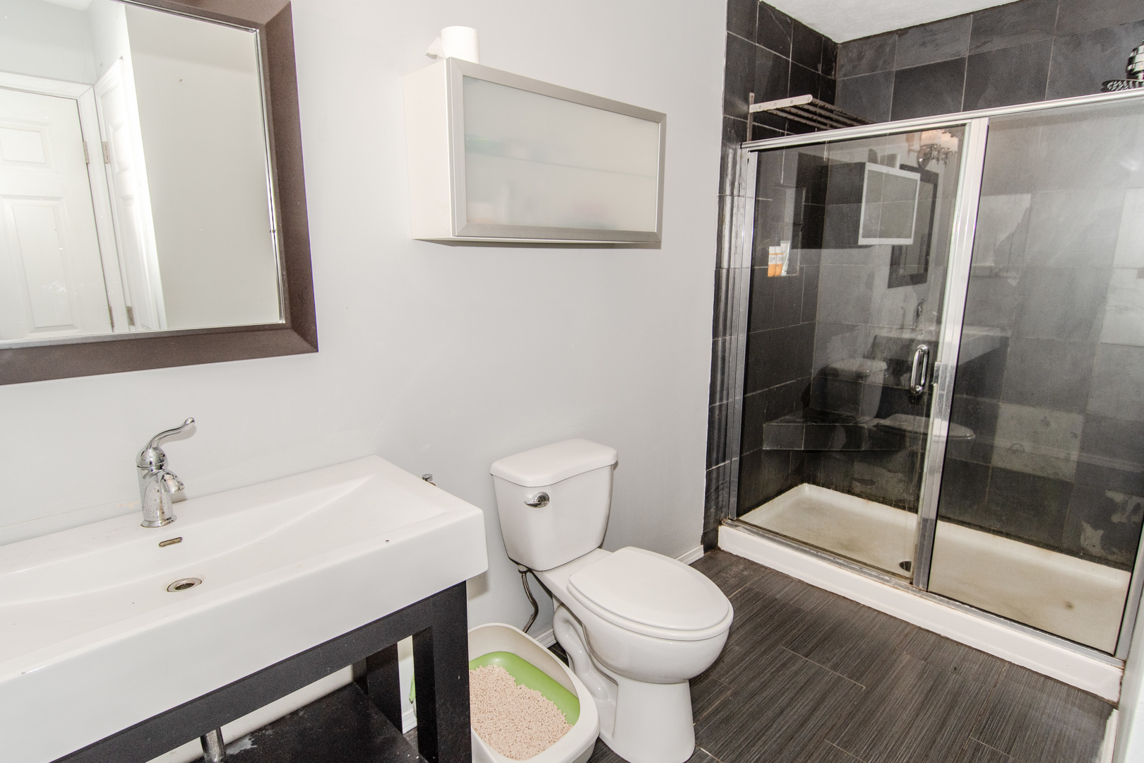 2970 North Dwight Road Morris, IL 60450 - Photo 35 of 43 a bathroom with a sink toilet and shower
