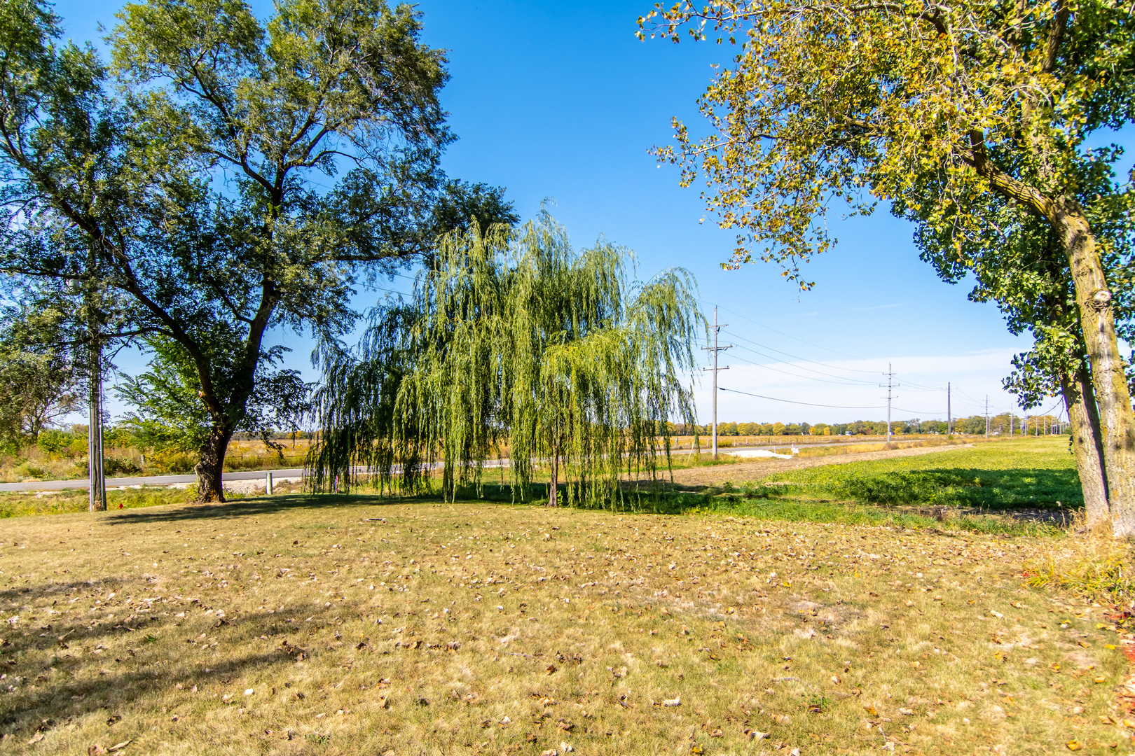 2970 North Dwight Road Morris, IL 60450 - Photo 36 of 43 a view of yard with green space