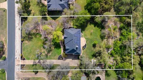a view of a yard and a potted plant