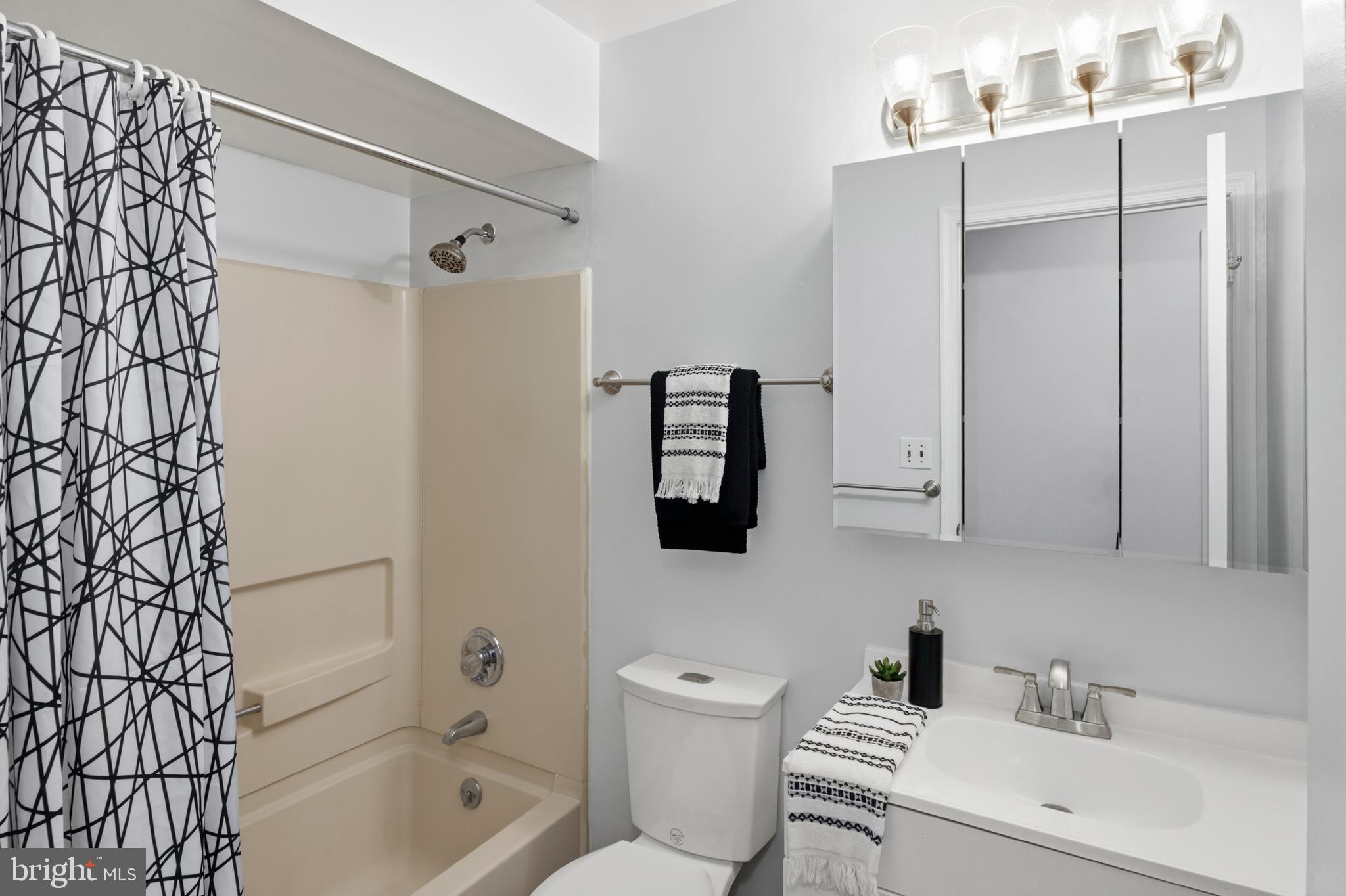 8390 Montgomery Run Road, Unit E Ellicott City, MD 21043 - Photo 21 of 26 Bathroom 2