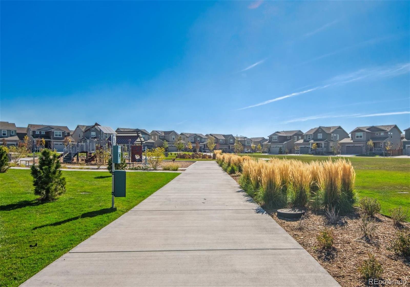 810 North Clubview Street Watkins, CO 80137 - Photo 19 of 21 a park view