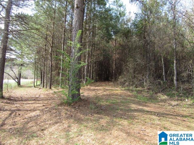 229 County Road, Unit 29 Thorsby, AL 35171 - Photo 3 of 23