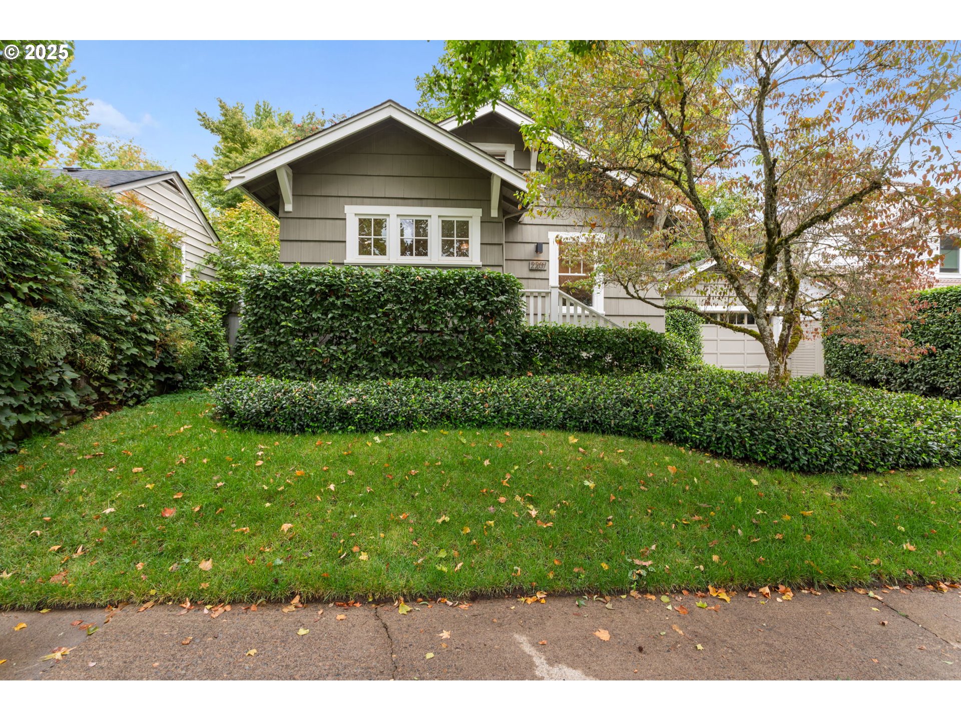 a view of a yard in front of a house with a large tree