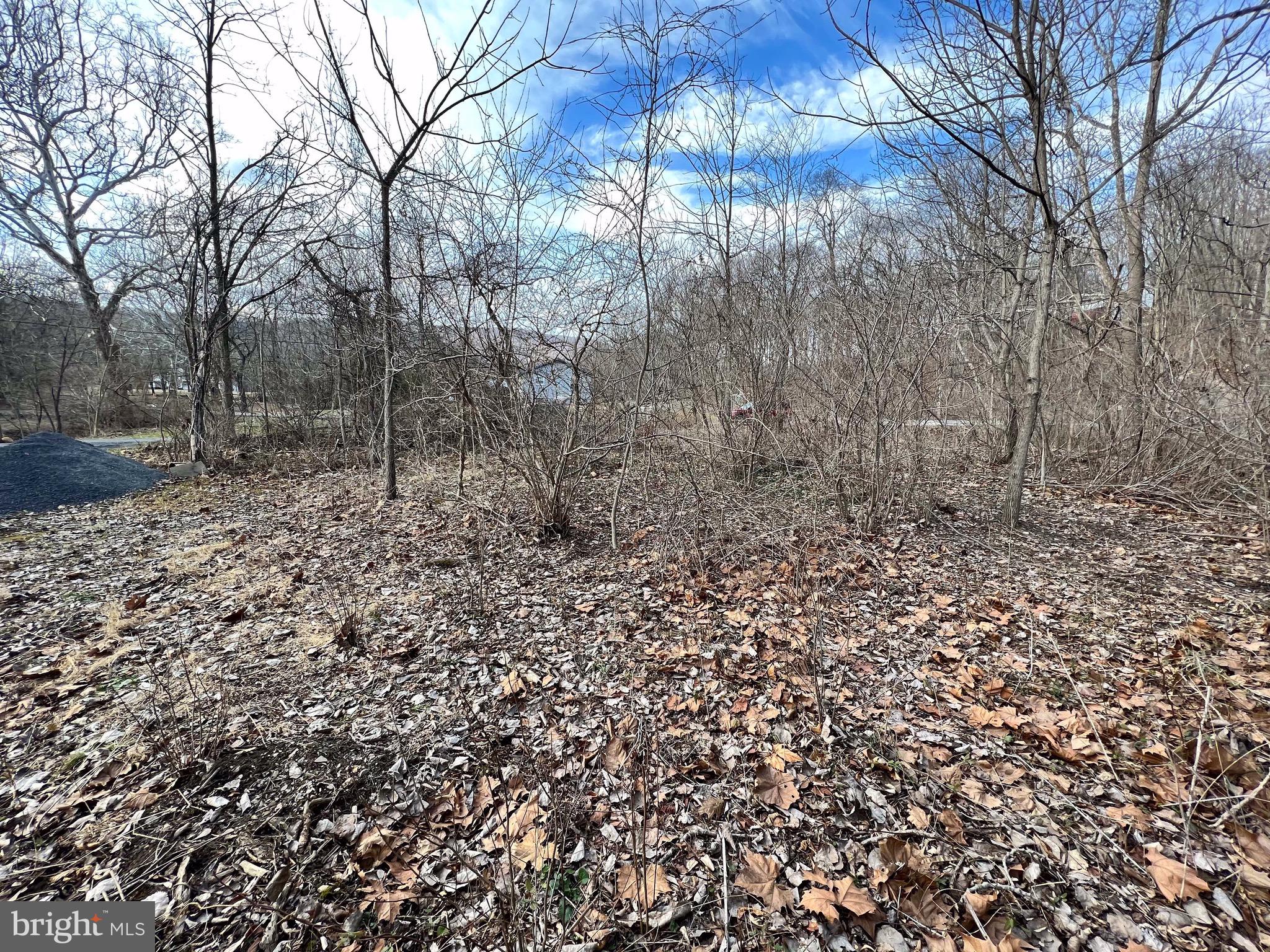 Craddock Road Southwest Cumberland, MD 21502 - Photo 5 of 6