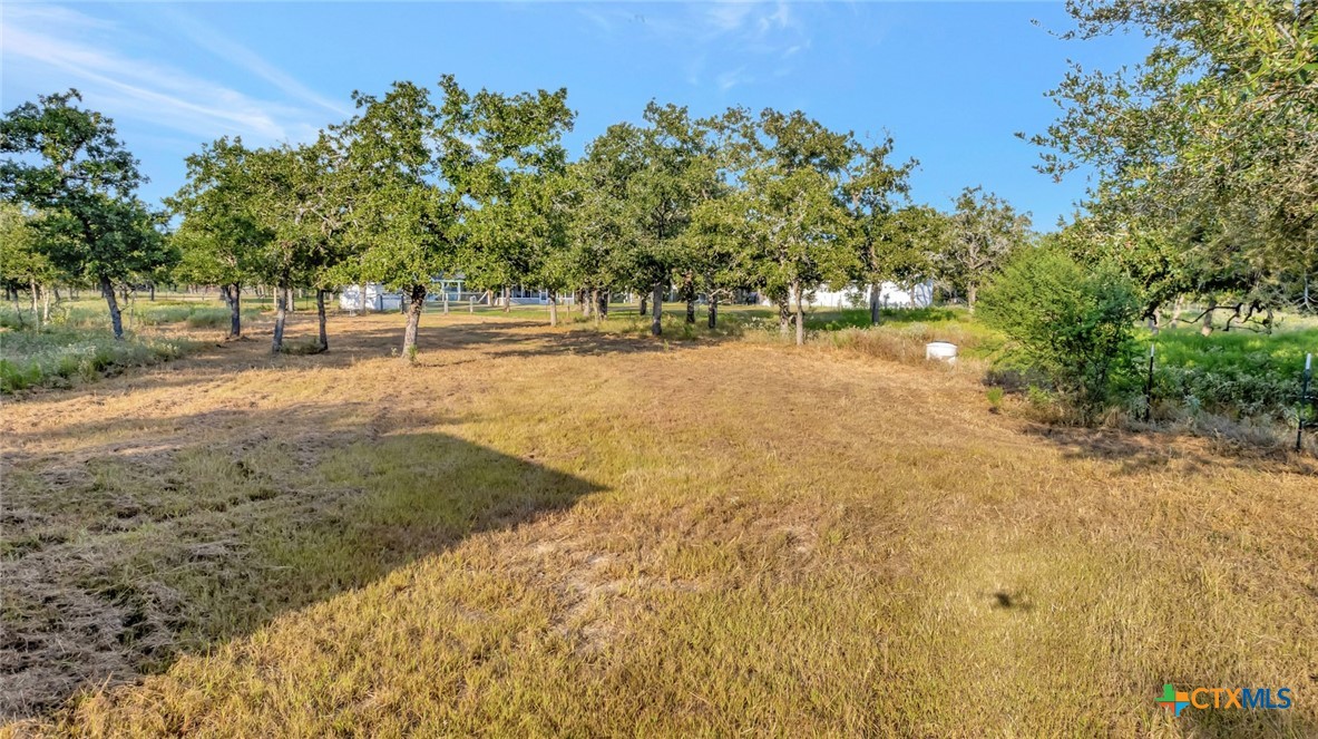 351 Sulphur Creek Road Victoria, TX 77905 - Photo 4 of 28
