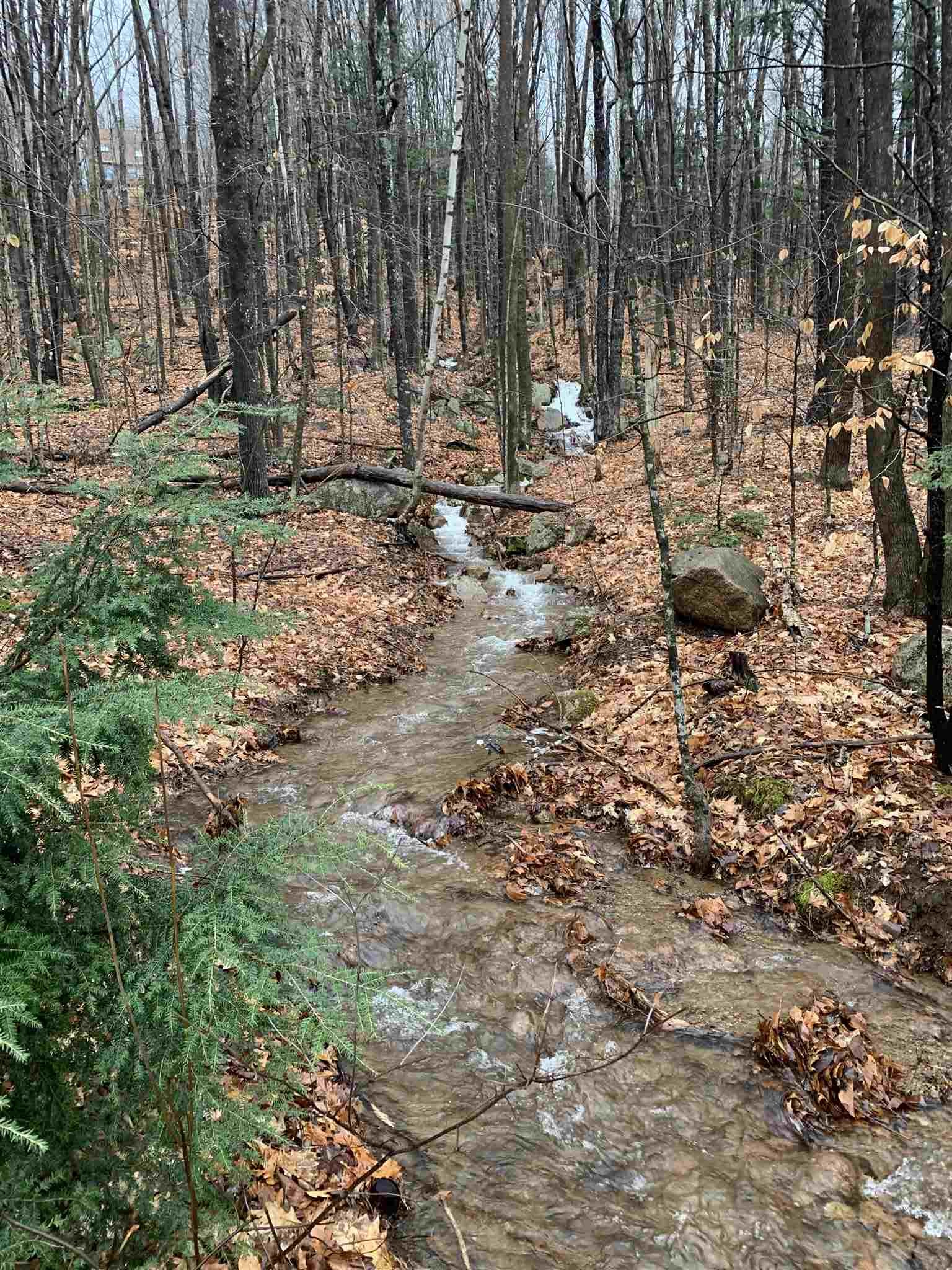 66 Ellis Ridge Road Bartlett, NH 03838 - Photo 38 of 38
