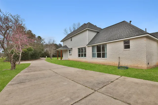 a view of a park with large trees