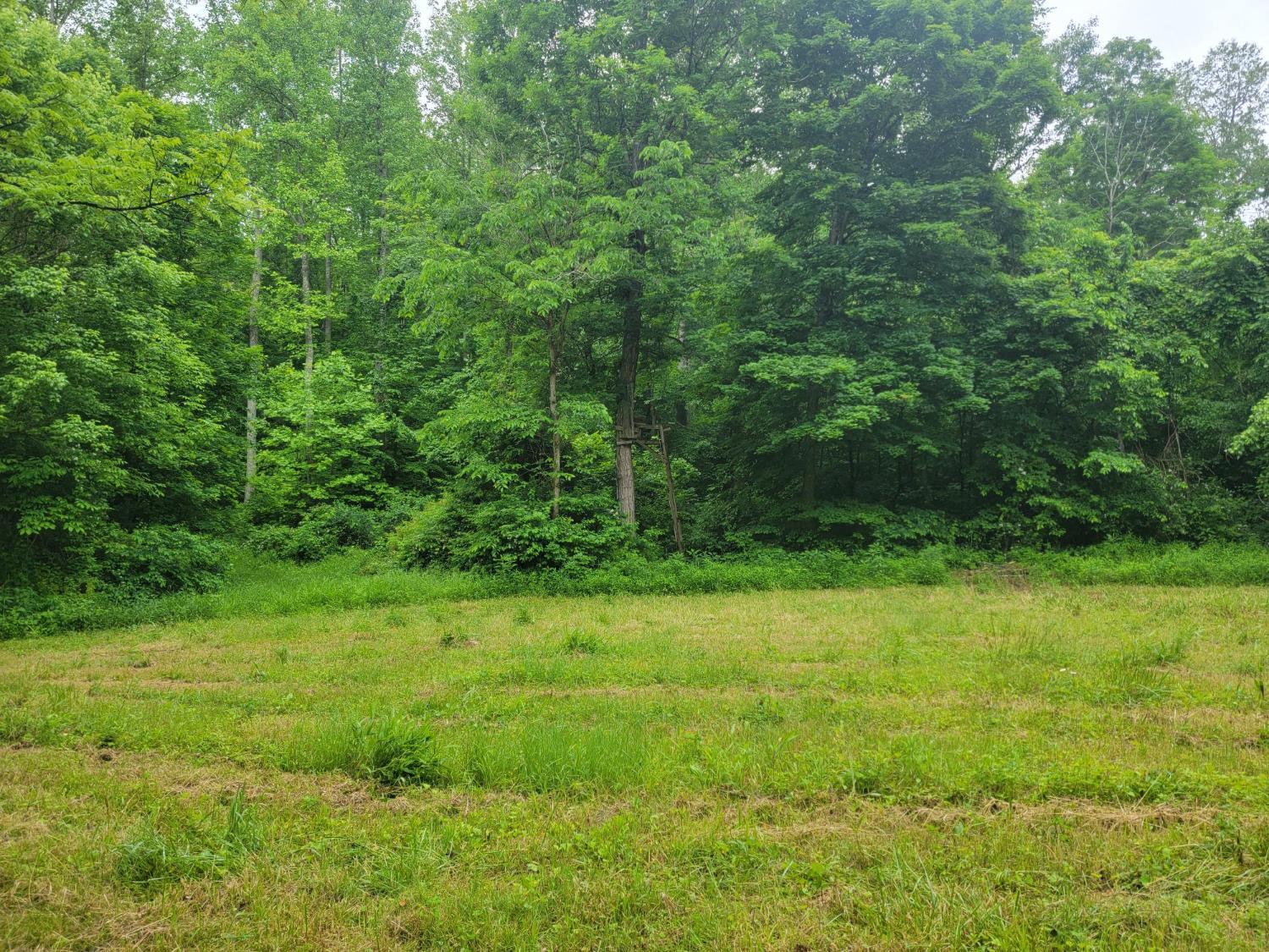 0 Co Road Milan, IN 47031 - Photo 17 of 35