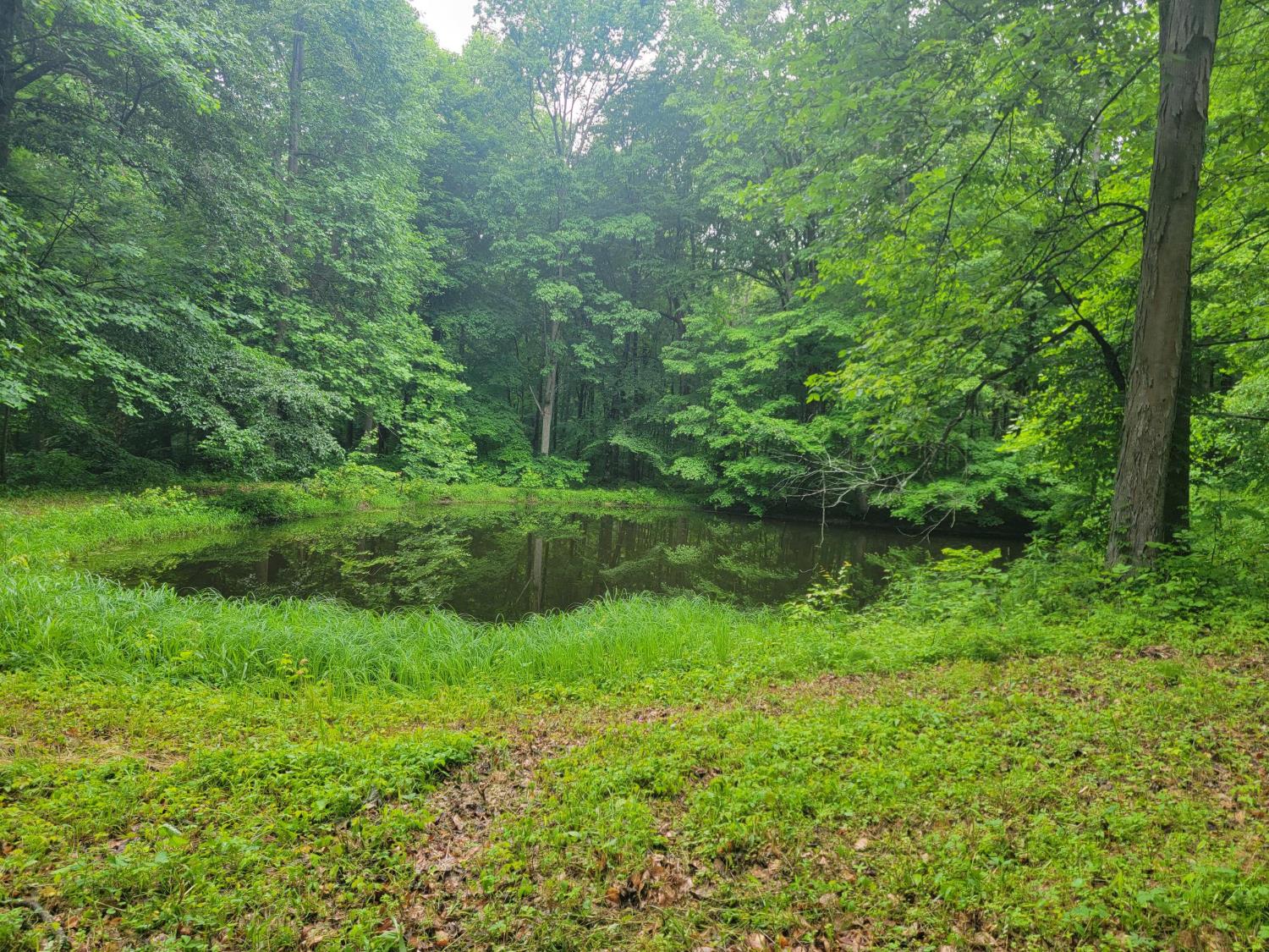 0 Co Road Milan, IN 47031 - Photo 20 of 35