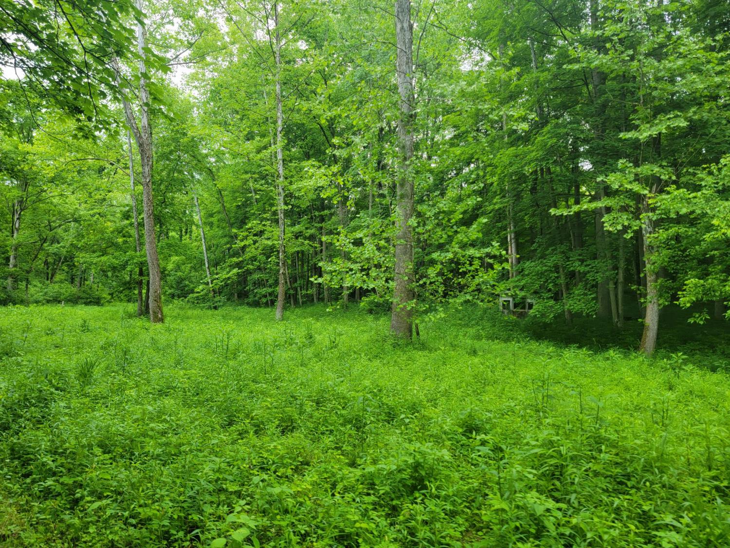 0 Co Road Milan, IN 47031 - Photo 21 of 35