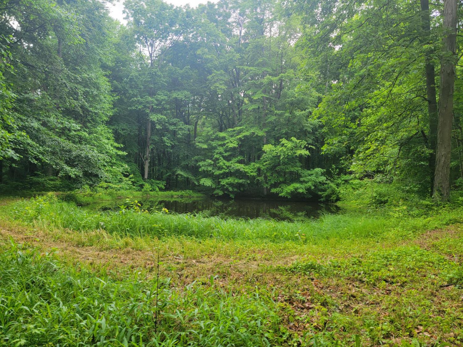 0 Co Road Milan, IN 47031 - Photo 10 of 35