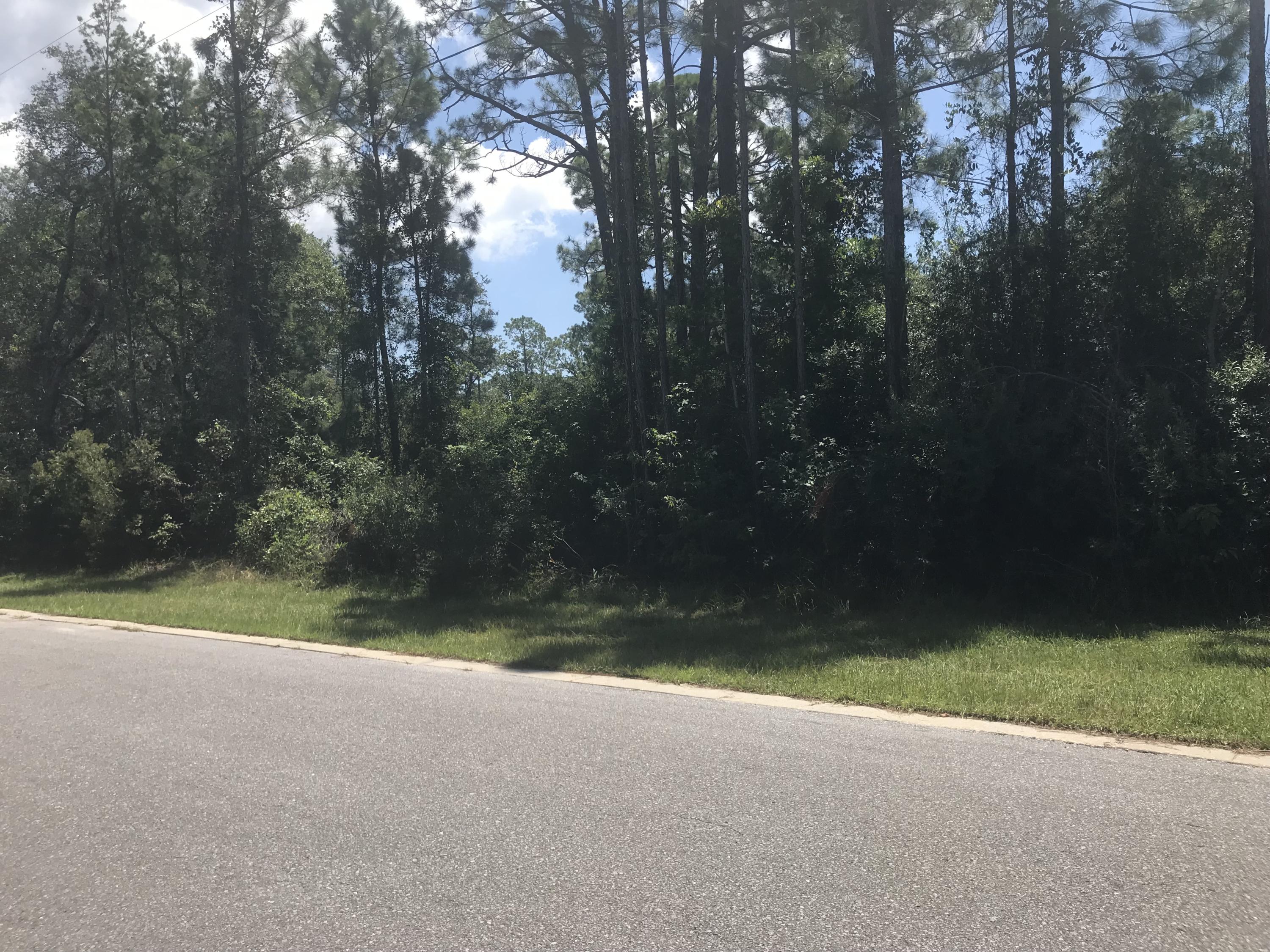 0 Silverleaf Lane Santa Rosa Beach, FL 32459 - Photo 1 of 5 a view of a yard with a trees