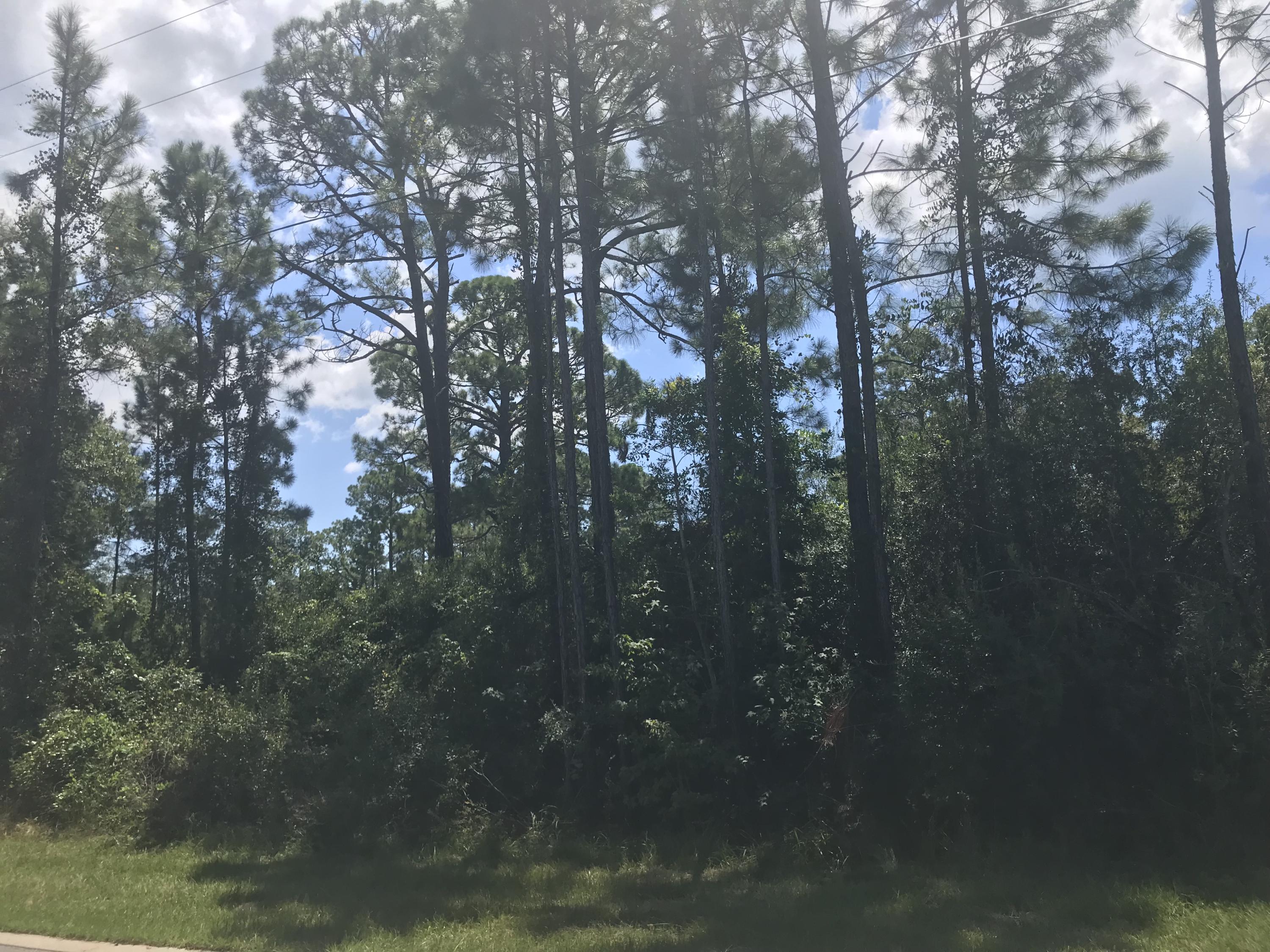 0 Silverleaf Lane Santa Rosa Beach, FL 32459 - Photo 3 of 5 a view of forest